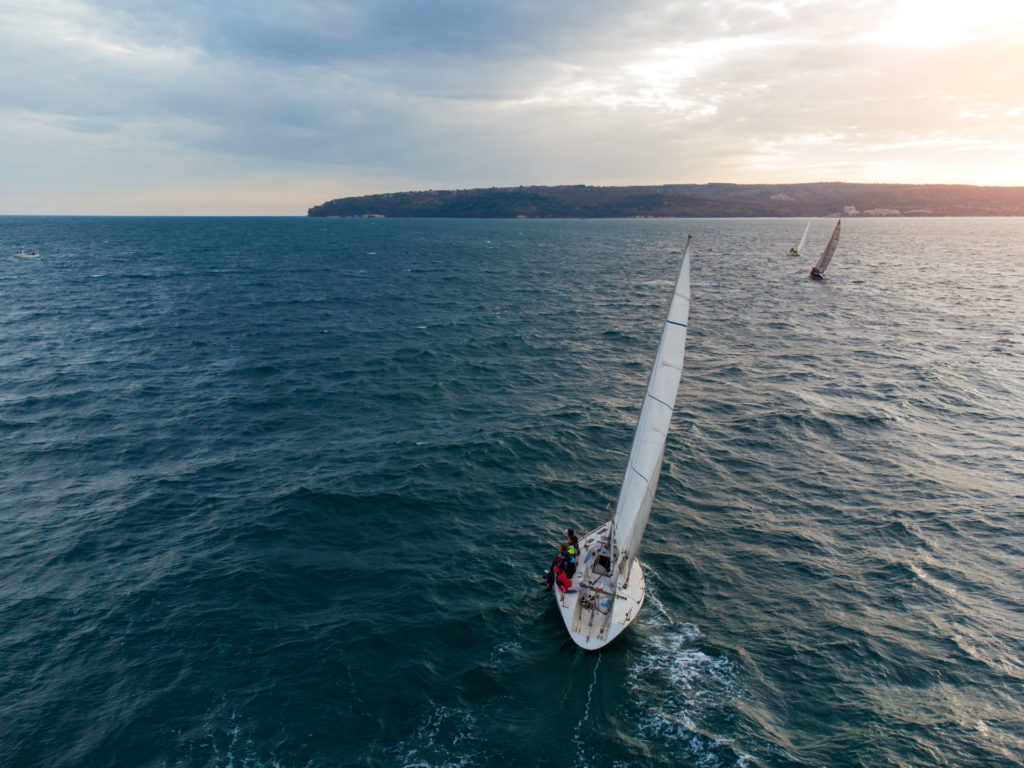 LE COMITÉ - STATUTS