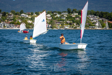 Camps d'été et Stages Printemps-Automne d'Optimist